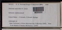 Image Associated With the Occurence
